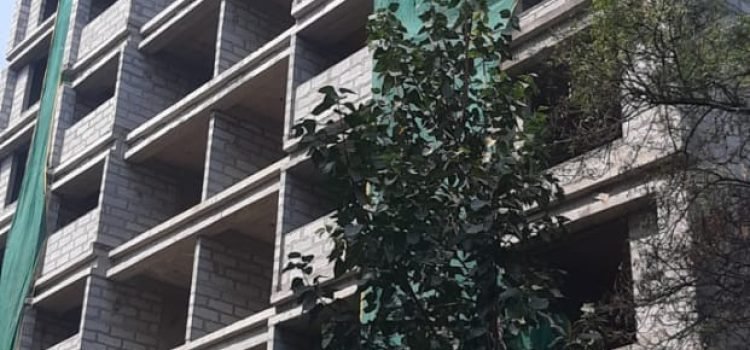 Arohini Site AAC Block Work Completed Photo 4