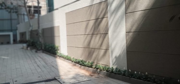 Parking Lobby Tree Plant 1