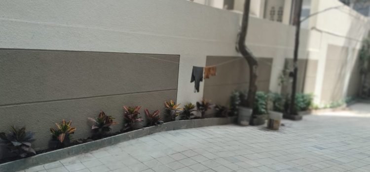 Parking Lobby Tree Plant