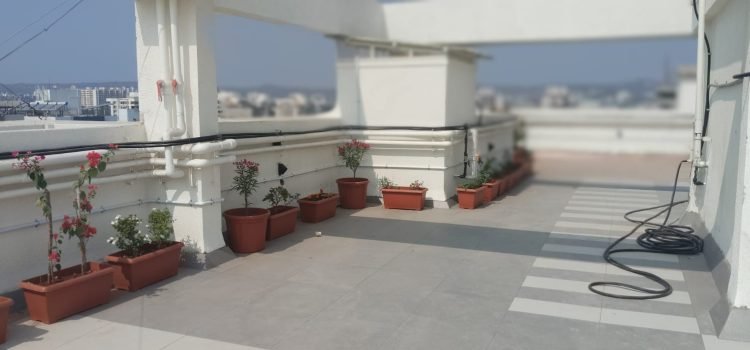 WhatsApp Image 2026-01-28 at 4.03.32 PM (1)