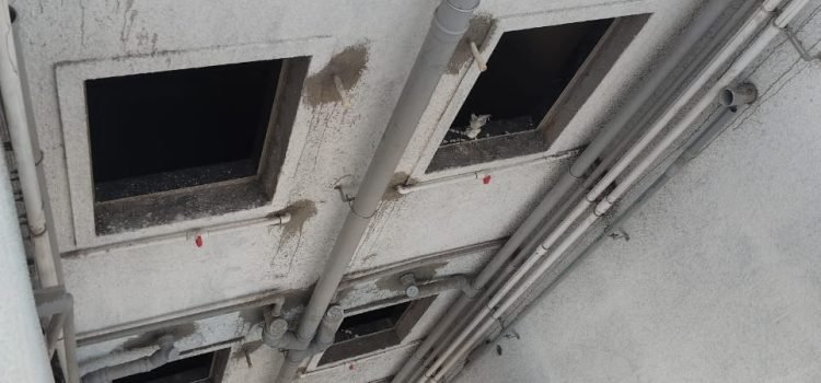 Yogeshwar - External Pipping